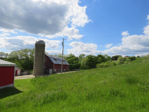 1139 US HWY 20 East, ELIZABETH, Illinois 61028, 3 Bedrooms Bedrooms, ,1 BathroomBathrooms,Farm,For Sale,US HWY 20 East,202502953