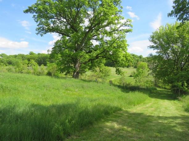 1139 US HWY 20 East, ELIZABETH, Illinois 61028, 3 Bedrooms Bedrooms, ,1 BathroomBathrooms,Farm,For Sale,US HWY 20 East,202502953