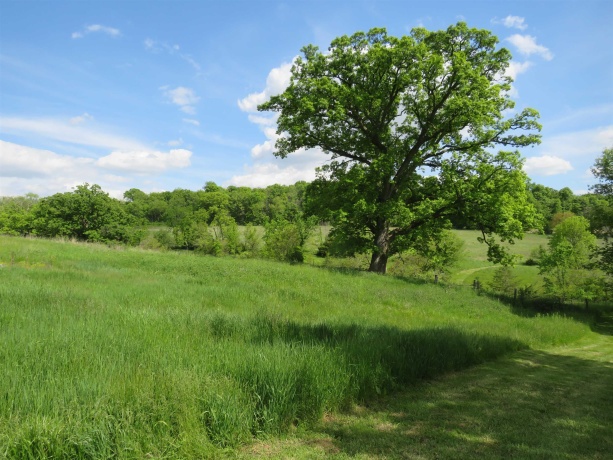 1139 US HWY 20 East, ELIZABETH, Illinois 61028, 3 Bedrooms Bedrooms, ,1 BathroomBathrooms,Farm,For Sale,US HWY 20 East,202502953