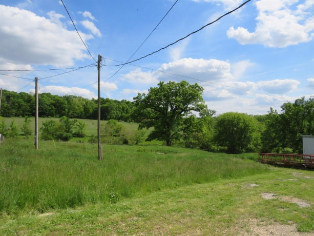 1139 US HWY 20 East, ELIZABETH, Illinois 61028, 3 Bedrooms Bedrooms, ,1 BathroomBathrooms,Farm,For Sale,US HWY 20 East,202502953