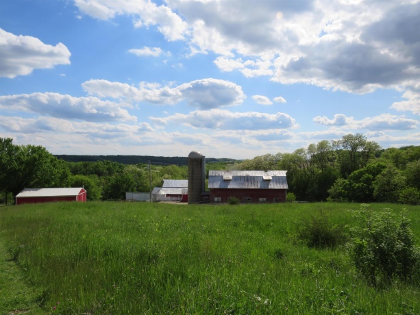 1139 US HWY 20 East, ELIZABETH, Illinois 61028, 3 Bedrooms Bedrooms, ,1 BathroomBathrooms,Farm,For Sale,US HWY 20 East,202502953