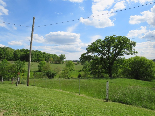 1139 US HWY 20 East, ELIZABETH, Illinois 61028, 3 Bedrooms Bedrooms, ,1 BathroomBathrooms,Farm,For Sale,US HWY 20 East,202502953