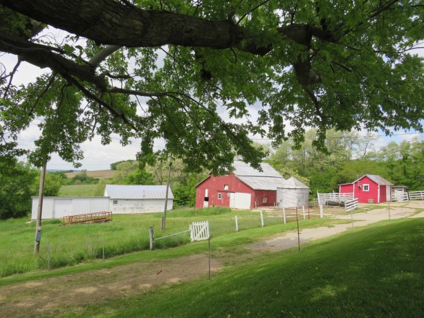 1139 US HWY 20 East, ELIZABETH, Illinois 61028, 3 Bedrooms Bedrooms, ,1 BathroomBathrooms,Farm,For Sale,US HWY 20 East,202502953