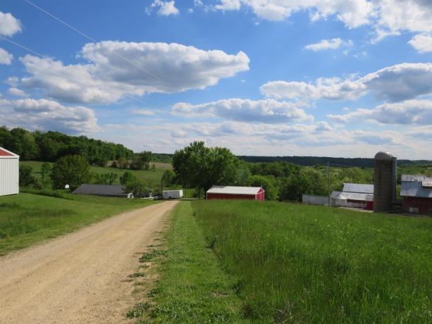 1139 US HWY 20 East, ELIZABETH, Illinois 61028, 3 Bedrooms Bedrooms, ,1 BathroomBathrooms,Farm,For Sale,US HWY 20 East,202502953