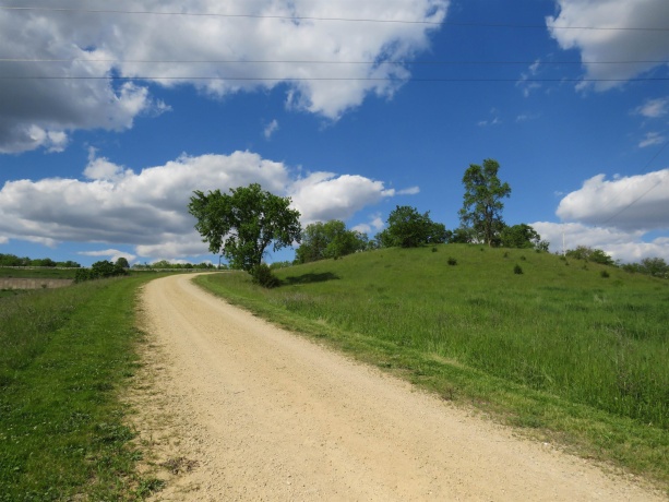 1139 US HWY 20 East, ELIZABETH, Illinois 61028, 3 Bedrooms Bedrooms, ,1 BathroomBathrooms,Farm,For Sale,US HWY 20 East,202502953