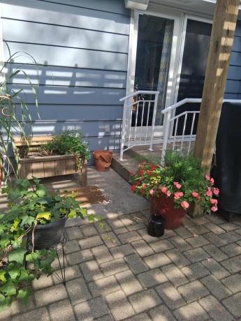 724 Roland, ROCKFORD, Illinois 61107, 4 Bedrooms Bedrooms, ,3 BathroomsBathrooms,House,For Sale,Roland,202507169