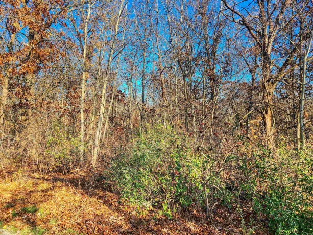 3-446 Deerfield, LAKE CARROLL, Illinois 61046, ,Land,For Sale,Deerfield,202406528