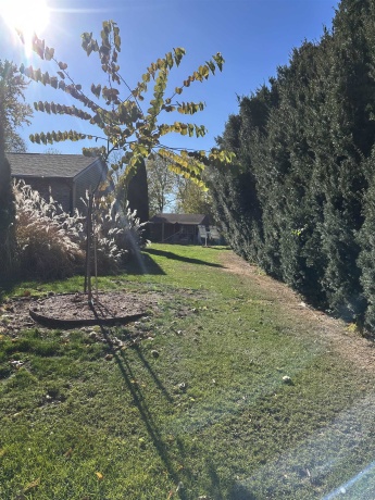 4934 ASHELFORD, BYRON, Illinois 61010, 3 Bedrooms Bedrooms, ,1 BathroomBathrooms,House,For Sale,ASHELFORD,202506972