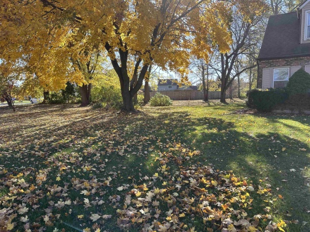 4934 ASHELFORD, BYRON, Illinois 61010, 3 Bedrooms Bedrooms, ,1 BathroomBathrooms,House,For Sale,ASHELFORD,202506972