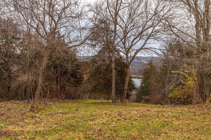 12 & 10 Huron Trace, GALENA, Illinois 61036, ,Land,For Sale,Huron Trace,202507224