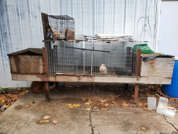 3212 Searles, ROCKFORD, Illinois 61101, ,2 Units,For Sale,Searles,202506511