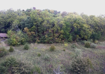 49 Sugarcreek, GALENA, Illinois 61036, ,Land,For Sale,Sugarcreek,202507253