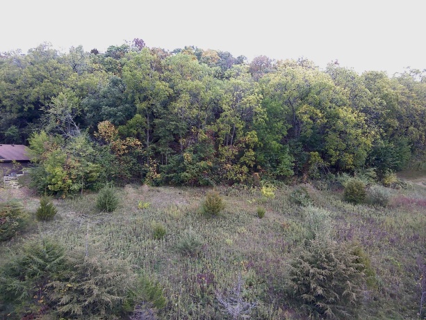 49 Sugarcreek, GALENA, Illinois 61036, ,Land,For Sale,Sugarcreek,202507253