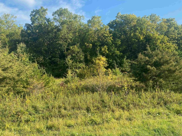 49 Sugarcreek, GALENA, Illinois 61036, ,Land,For Sale,Sugarcreek,202507253