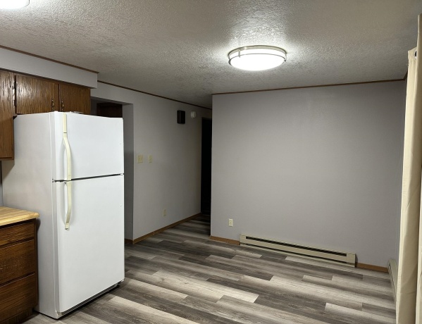 116 Pepin, LENA, Illinois 61048, 3 Bedrooms Bedrooms, ,1 BathroomBathrooms,House,For Sale,Pepin,202507254