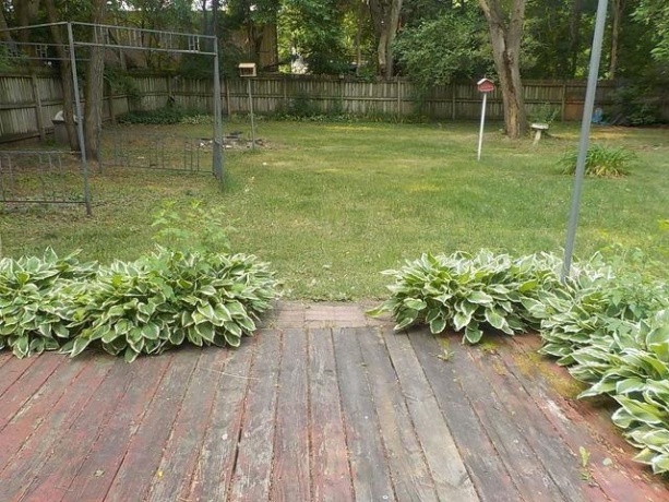 2125 Windsor, LOVES PARK, Illinois 61111, 2 Bedrooms Bedrooms, ,1 BathroomBathrooms,House,For Sale,Windsor,202507256