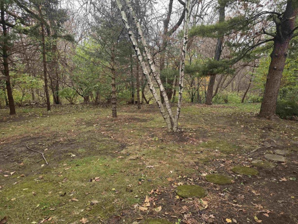 5563 Palisades, ROCKFORD, Illinois 61109, 3 Bedrooms Bedrooms, ,2 BathroomsBathrooms,House,For Sale,Palisades,202507258