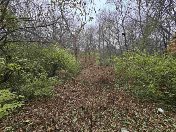 5563 Palisades, ROCKFORD, Illinois 61109, 3 Bedrooms Bedrooms, ,2 BathroomsBathrooms,House,For Sale,Palisades,202507258