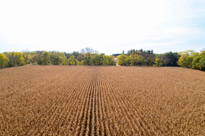 7093 Forest Preserve, ROCKTON, Illinois 61072, 3 Bedrooms Bedrooms, ,1 BathroomBathrooms,House,For Sale,Forest Preserve,202507260