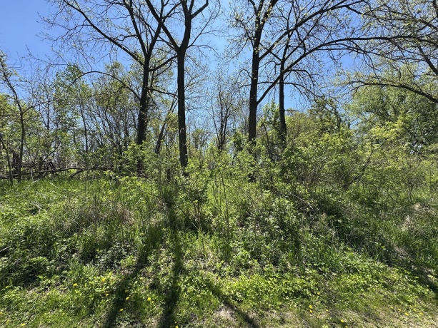 5574 Big Cut, MOUNT CARROLL, Illinois 61053, ,Land,For Sale,Big Cut,202502353