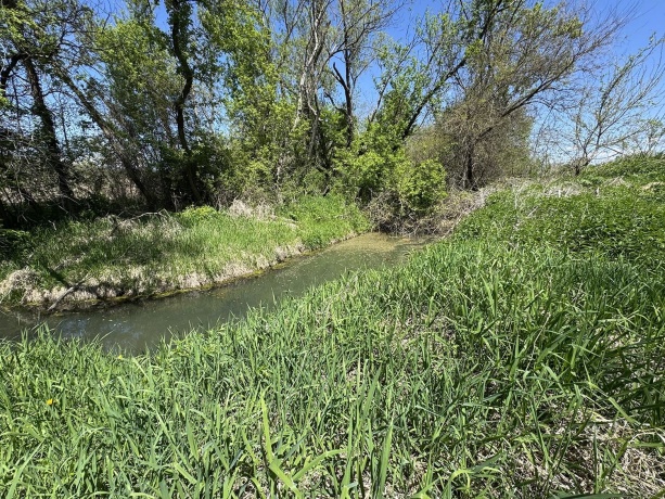 5574 Big Cut, MOUNT CARROLL, Illinois 61053, ,Land,For Sale,Big Cut,202502353