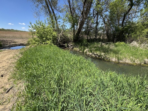 5574 Big Cut, MOUNT CARROLL, Illinois 61053, ,Land,For Sale,Big Cut,202502353