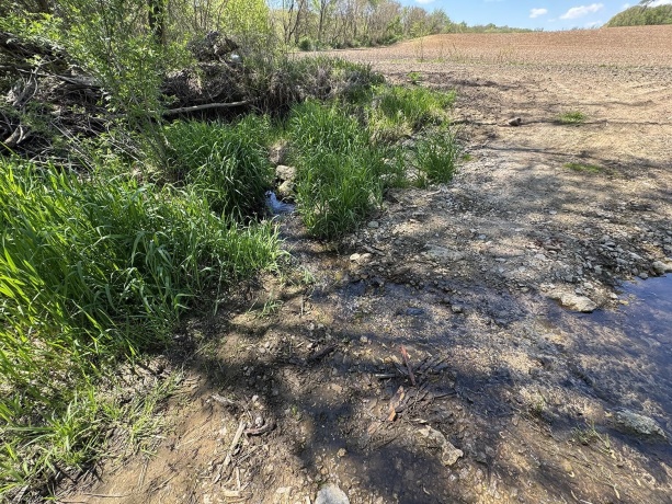 5574 Big Cut, MOUNT CARROLL, Illinois 61053, ,Land,For Sale,Big Cut,202502353