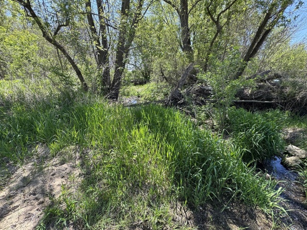 5574 Big Cut, MOUNT CARROLL, Illinois 61053, ,Land,For Sale,Big Cut,202502353