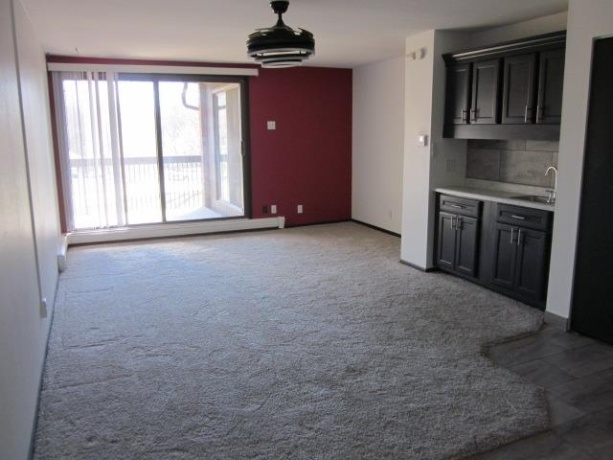 2929 Sunnyside Drive #267D, ROCKFORD, Illinois 61114, 1 Bedroom Bedrooms, ,1 BathroomBathrooms,Condominium,For Sale,Sunnyside Drive #267D,202507295