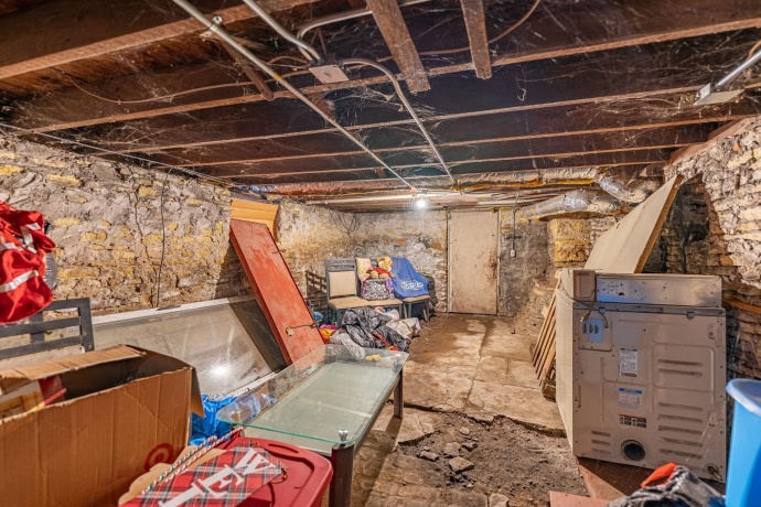 917 Locust, BELVIDERE, Illinois 61008, ,5+ Units,For Sale,Locust,202507314