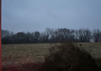 Bellview, FREEPORT, Illinois 61032, ,Land,For Sale,Bellview,202507343