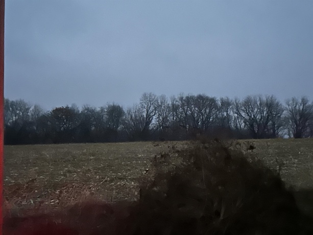 Bellview, FREEPORT, Illinois 61032, ,Land,For Sale,Bellview,202507343