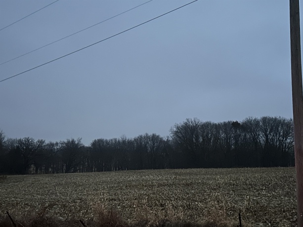 Bellview, FREEPORT, Illinois 61032, ,Land,For Sale,Bellview,202507343
