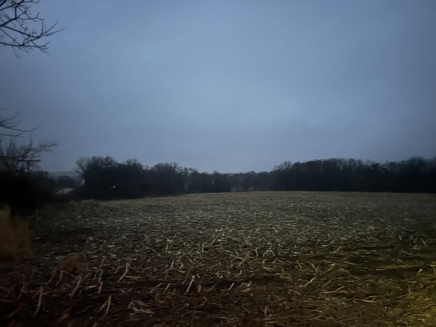 Bellview, FREEPORT, Illinois 61032, ,Land,For Sale,Bellview,202507343
