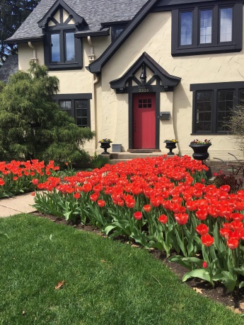 2326 CLINTON, ROCKFORD, Illinois 61103, 4 Bedrooms Bedrooms, ,2 BathroomsBathrooms,House,For Sale,CLINTON,202507352