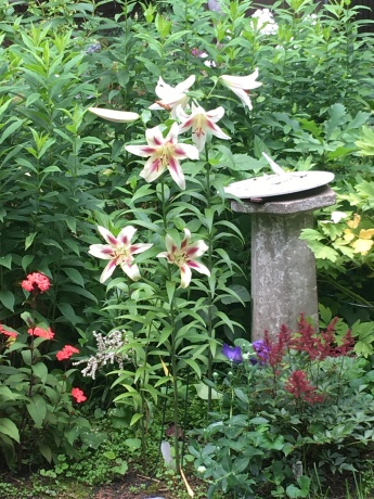 2326 CLINTON, ROCKFORD, Illinois 61103, 4 Bedrooms Bedrooms, ,2 BathroomsBathrooms,House,For Sale,CLINTON,202507352