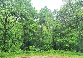 4 Hillside, GALENA, Illinois 61036, ,Land,For Sale,Hillside,202502861