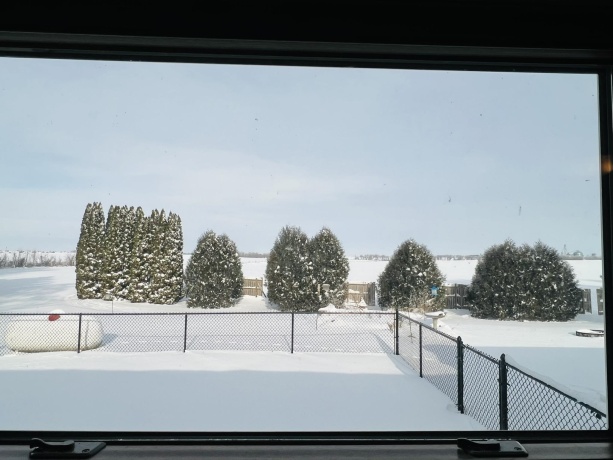 312 Garfield, PEARL CITY, Illinois 61062, 3 Bedrooms Bedrooms, ,1 BathroomBathrooms,House,For Sale,Garfield,202507395