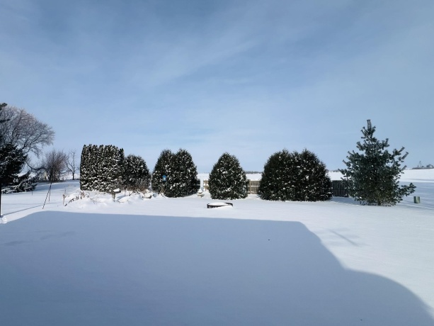 312 Garfield, PEARL CITY, Illinois 61062, 3 Bedrooms Bedrooms, ,1 BathroomBathrooms,House,For Sale,Garfield,202507395