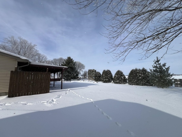 312 Garfield, PEARL CITY, Illinois 61062, 3 Bedrooms Bedrooms, ,1 BathroomBathrooms,House,For Sale,Garfield,202507395