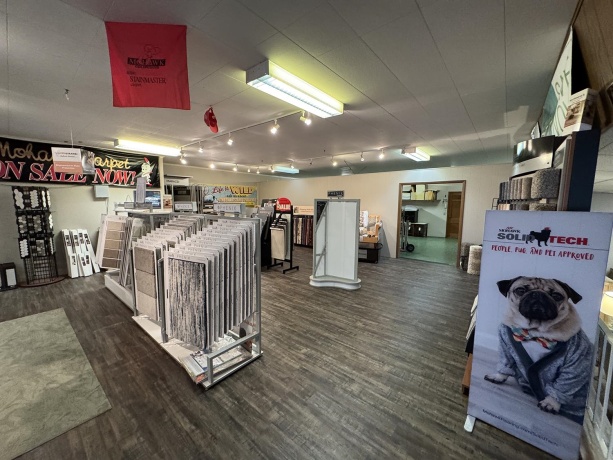 207 Broadway, MOUNT CARROLL, Illinois 61053, ,Business W/ Real Estate,For Sale,Broadway,202507417