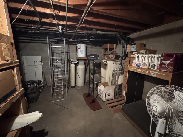 207 Broadway, MOUNT CARROLL, Illinois 61053, ,Business W/ Real Estate,For Sale,Broadway,202507417