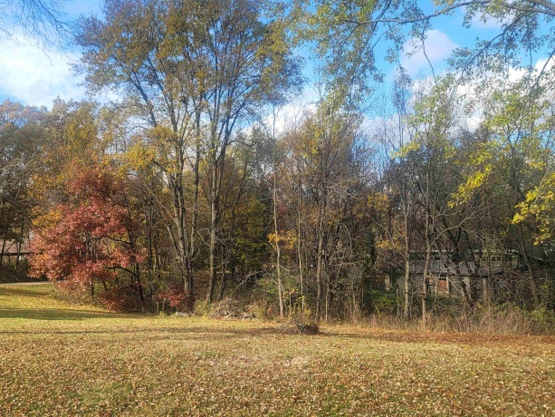 2 Sylvan, GALENA, Illinois 61036, 4 Bedrooms Bedrooms, ,2 BathroomsBathrooms,House,For Sale,Sylvan,202503047