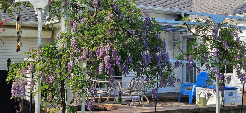 638 Merrion, ROSCOE, Illinois 61073, 4 Bedrooms Bedrooms, ,3 BathroomsBathrooms,House,For Sale,Merrion,202507419