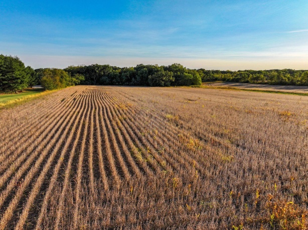 00 Lawrenceville, GARDEN PRAIRIE, Illinois 61038, ,Land,For Sale,Lawrenceville,202507466