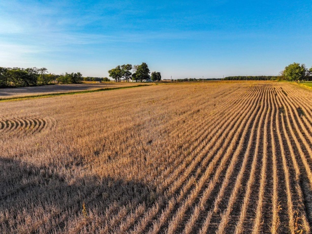 00 Lawrenceville, GARDEN PRAIRIE, Illinois 61038, ,Land,For Sale,Lawrenceville,202507466