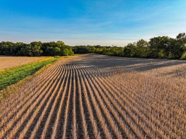 00 Lawrenceville, GARDEN PRAIRIE, Illinois 61038, ,Land,For Sale,Lawrenceville,202507466