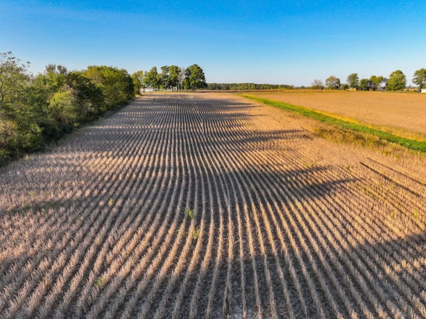 00 Lawrenceville, GARDEN PRAIRIE, Illinois 61038, ,Land,For Sale,Lawrenceville,202507466