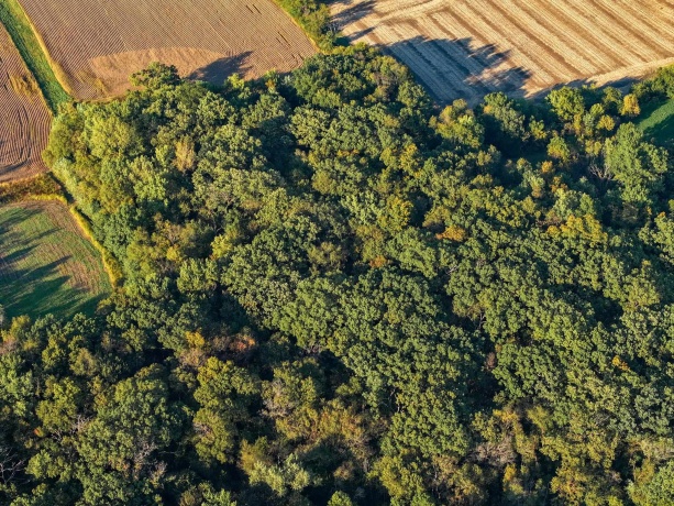 00 Lawrenceville, GARDEN PRAIRIE, Illinois 61038, ,Land,For Sale,Lawrenceville,202507466