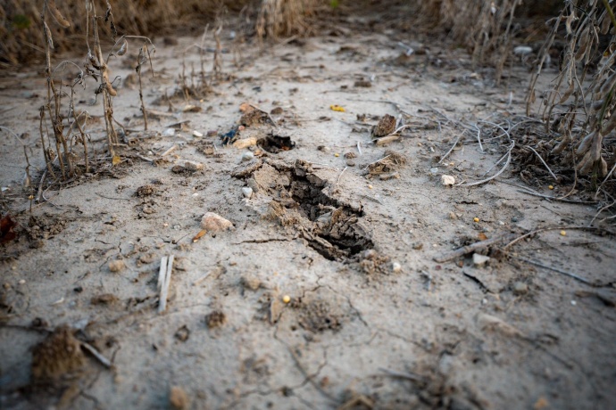 00 Lawrenceville, GARDEN PRAIRIE, Illinois 61038, ,Land,For Sale,Lawrenceville,202507466